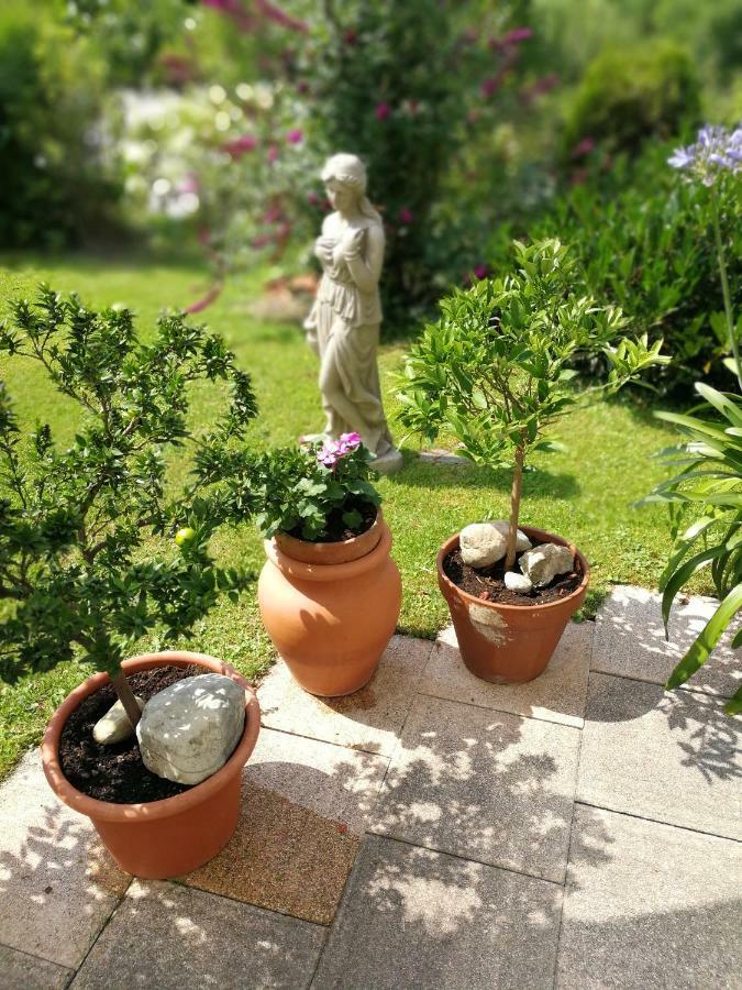 Haus Marianne Lejlighed Hof bei Salzburg Eksteriør billede